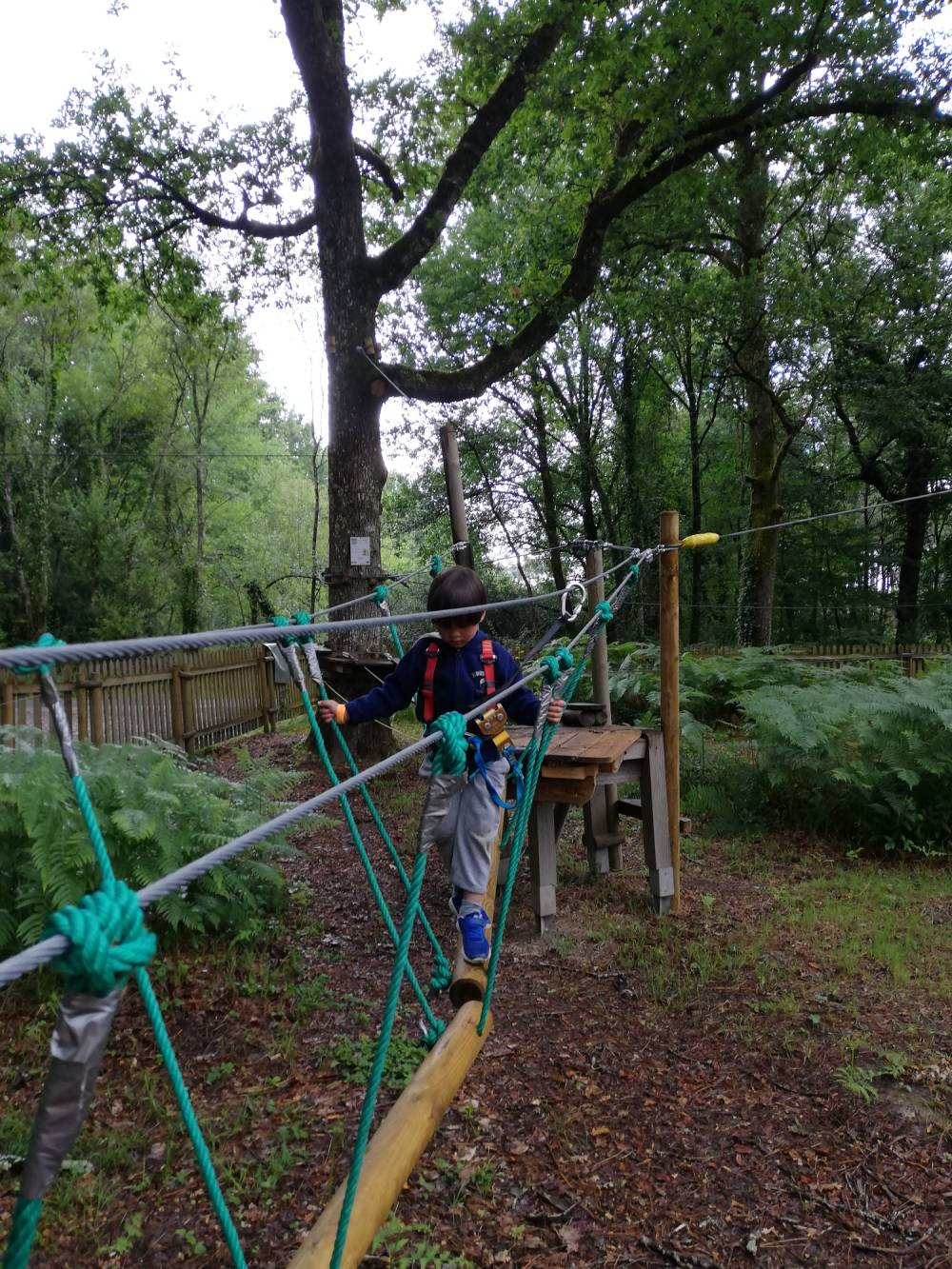 Accrobranche près de Bergerac